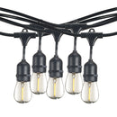Bulbrite - 1 Watts - S14 - E26 Base - 2700KK - 120 Volts - String Light - Black - Bulbs Included:1W S14 Clear LED (10pcs) - STRING10L/14FT/16IN/E26/BLACK/LED/S14