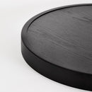 Tala - 60W MAX Watts -  Base - 110-120V Volts - CP-ASH-LRG-01-US