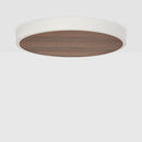 Tala - 60W MAX Watts -  Base - 110-120V Volts - CP-WALT-LRG-01-US