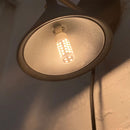 Tala - 3.6W Watts -  Base - 2700KK - 110-120V Volts - - - G9-4W-2700K-RA97-120V