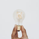 Tala - 6W Watts - A19 - E26 Base - 2700K - 110-120V Volts - Clear - GLOB-6W-2700K-E26-NT-120V